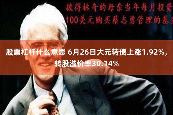 股票杠杆什么意思 6月26日大元转债上涨1.92%，转股溢价率30.14%